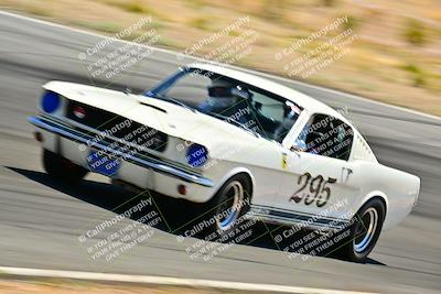 media/May-10-2025-Cobra Club (Sat) [[7b9c5022b1]]/Passenger/